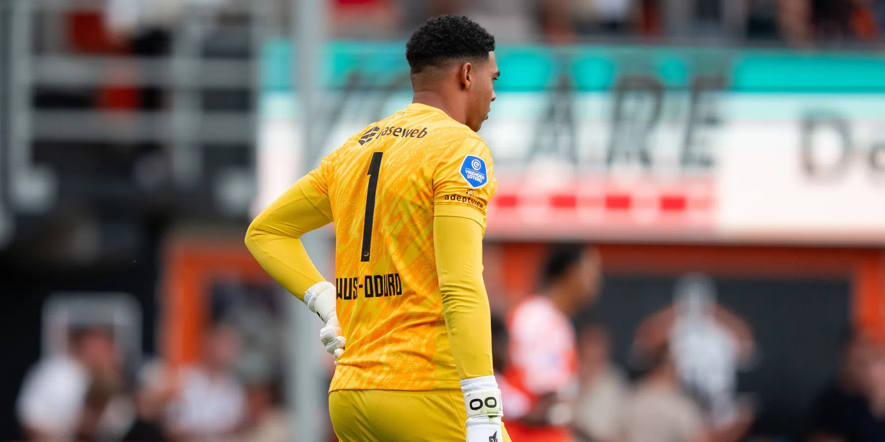 Ondersteunend beeld bij het artikel